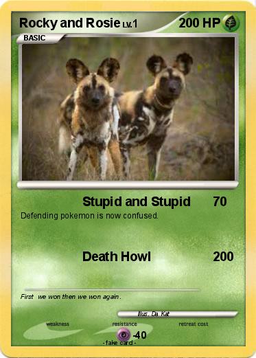 Pokemon Rocky and Rosie