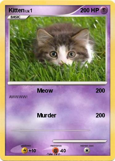 Pokemon Kitten