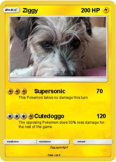 Pokemon Ziggy