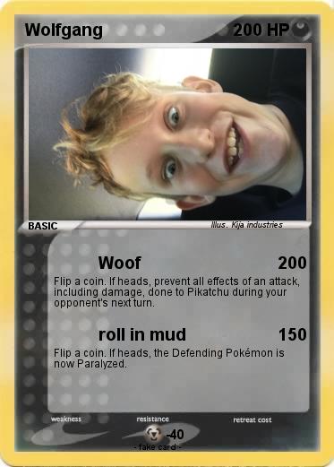 Pokemon Wolfgang
