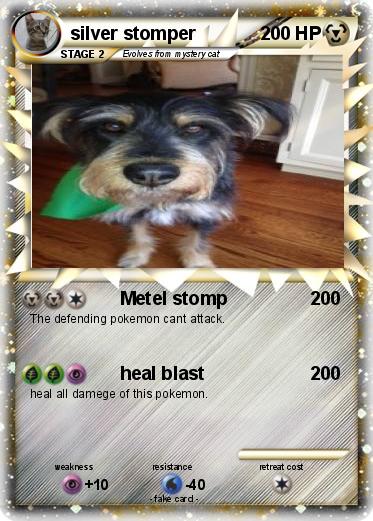Pokemon silver stomper