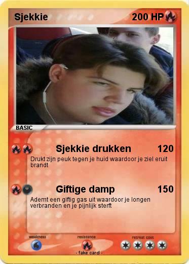 Pokemon Sjekkie