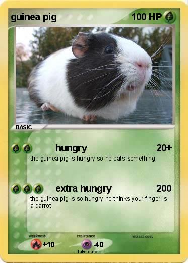 Pokemon guinea pig