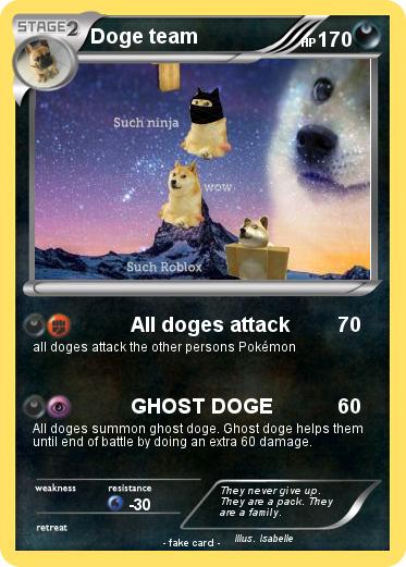 Pokemon Doge team