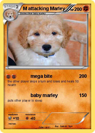 Pokemon M attacking Marley