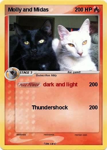 Pokemon Molly and Midas