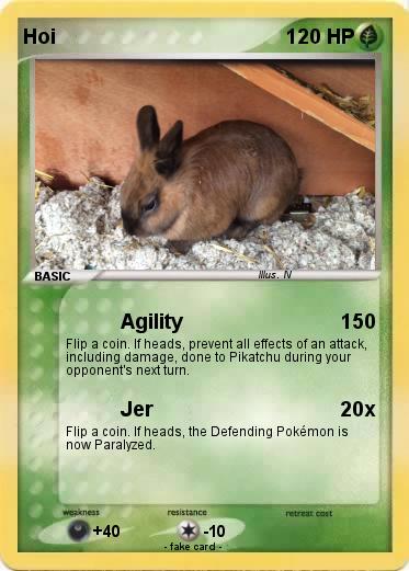 Pokemon Hoi