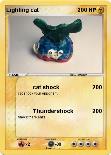 Pokemon Lighting cat