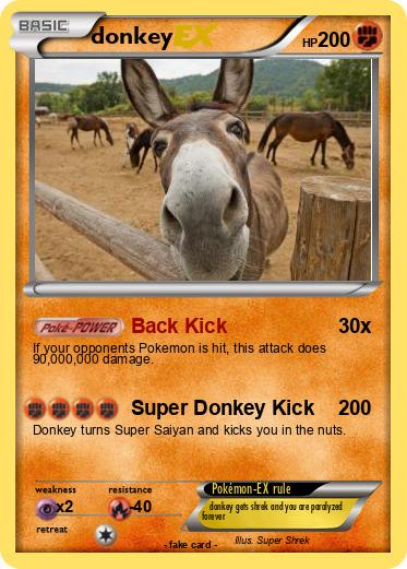 Pokemon donkey