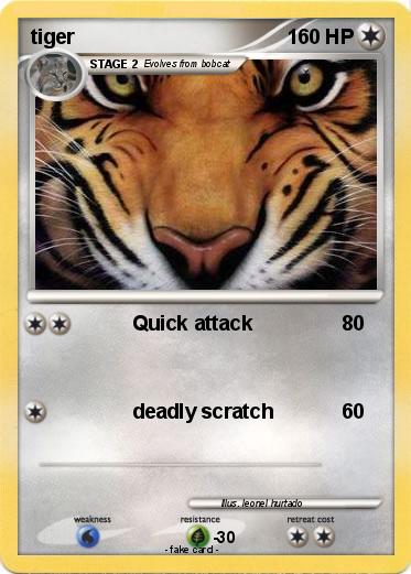 Pokemon tiger