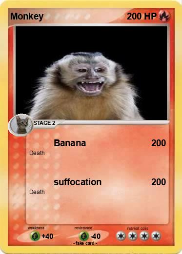 Pokemon Monkey