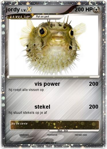 Pokemon jordy