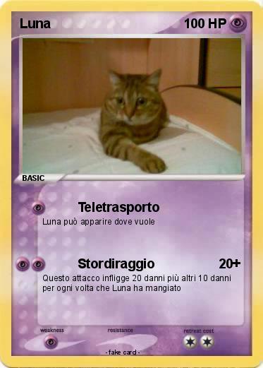 Pokemon Luna