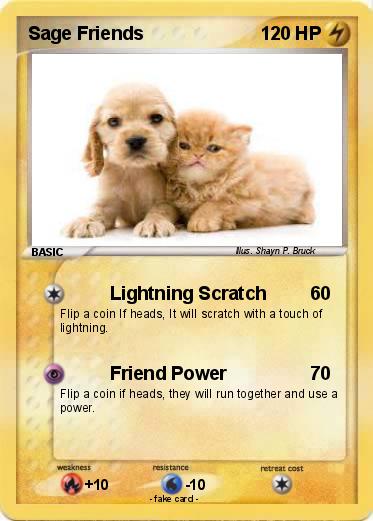Pokemon Sage Friends