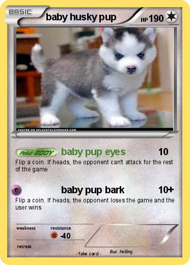 Pokemon baby husky pup