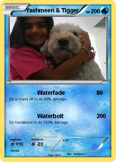 Pokemon Yashmeen & Tigger
