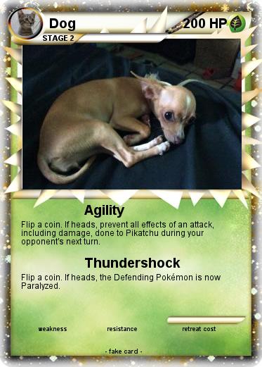 Pokemon Dog