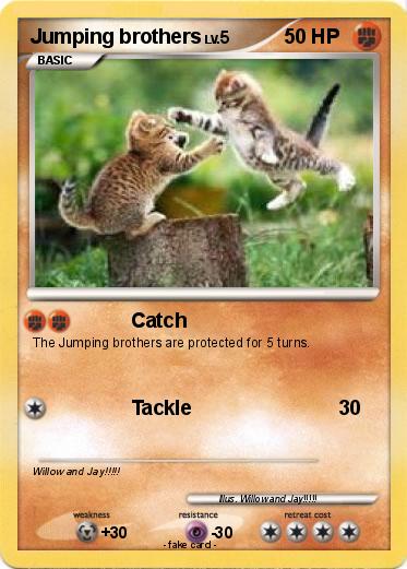 Pokemon Jumping brothers