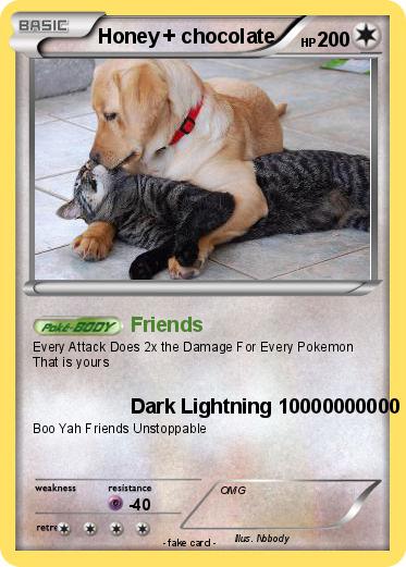 Pokemon Honey + chocolate