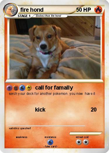 Pokemon fire hond