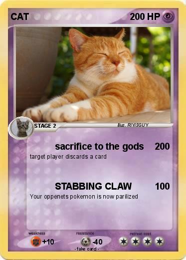 Pokemon CAT