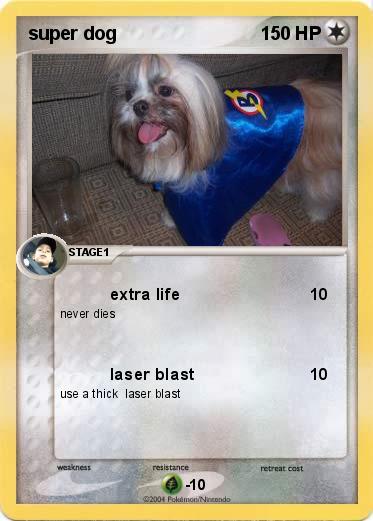 Pokemon super dog