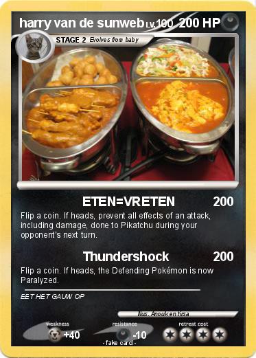 Pokemon harry van de sunweb