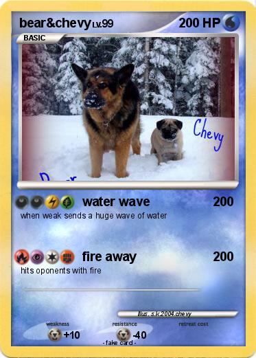 Pokemon bear&chevy