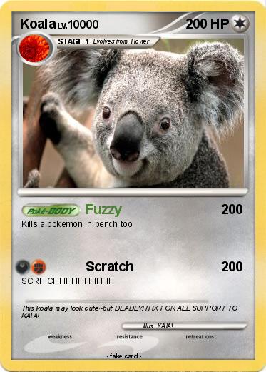 Pokemon Koala