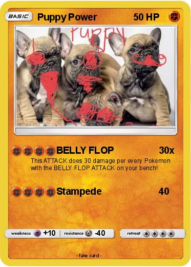 Pokemon Puppy Power