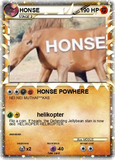 Pokemon HONSE