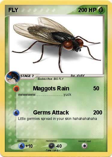 Pokemon FLY