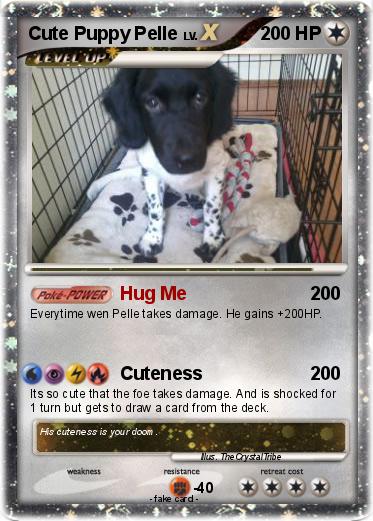 Pokemon Cute Puppy Pelle