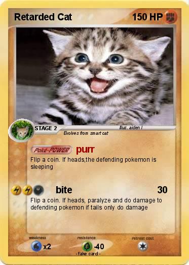 Pokemon Retarded Cat
