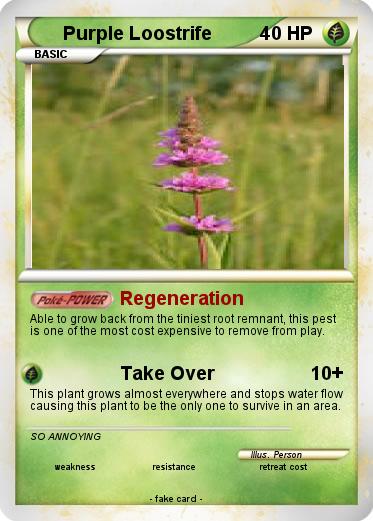 Pokemon Purple Loostrife