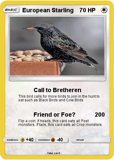 Pokemon European Starling