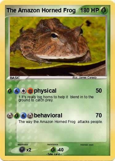 Pokemon The Amazon Horned Frog