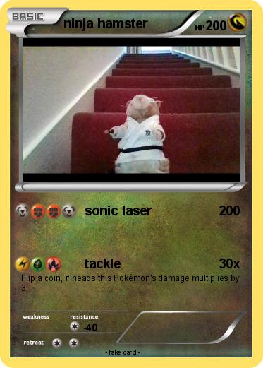 Pokemon ninja hamster