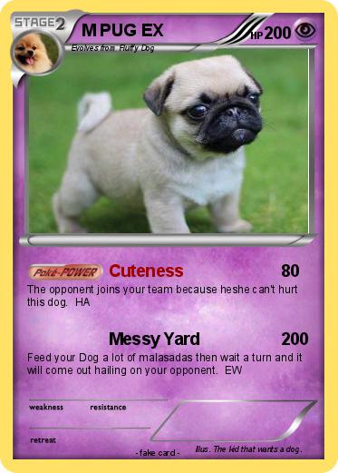 Pokemon M PUG EX