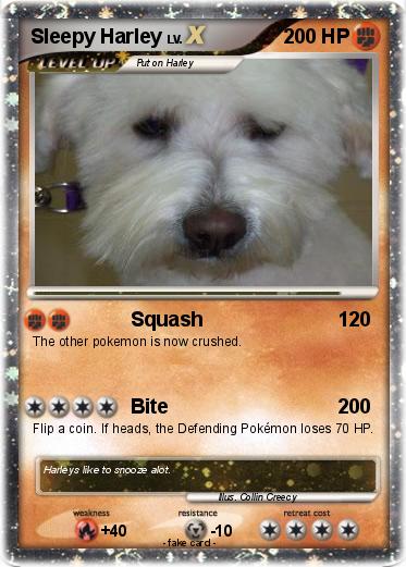 Pokemon Sleepy Harley