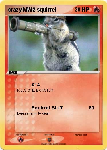 Pokemon crazy MW2 squirrel