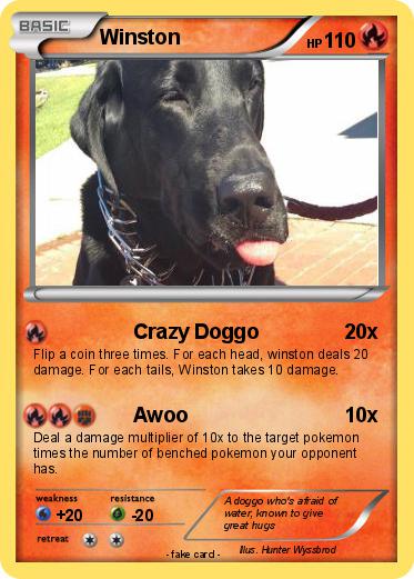 Pokemon Winston
