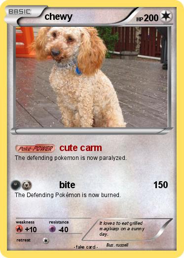 Pokemon chewy