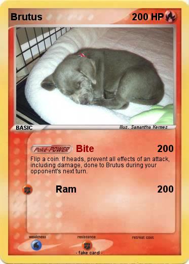 Pokemon Brutus