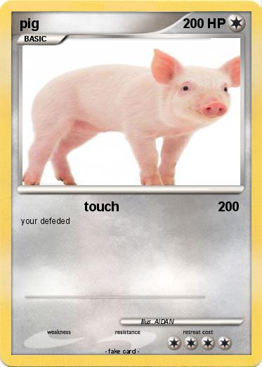 Pokemon pig