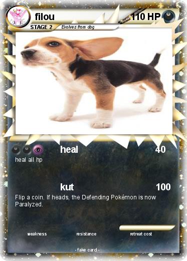 Pokemon filou
