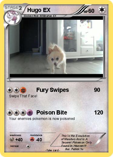 Pokemon Hugo EX