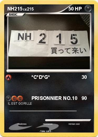 Pokemon NH215