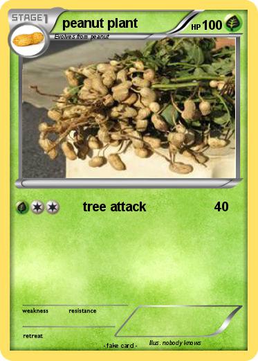 Pokemon peanut plant