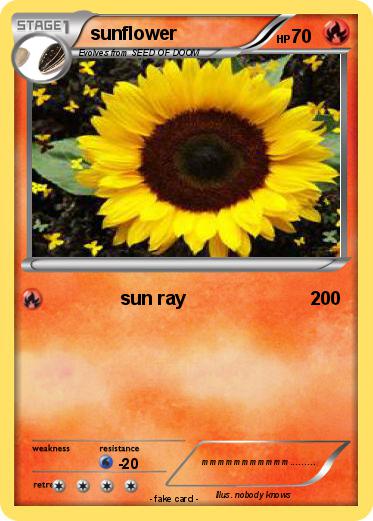 Pokemon sunflower
